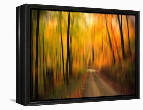 Welcome to My Fall-Philippe Sainte-Laudy-Framed Premier Image Canvas