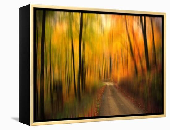 Welcome to My Fall-Philippe Sainte-Laudy-Framed Premier Image Canvas