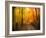 Welcome to My Fall-Philippe Sainte-Laudy-Framed Photographic Print