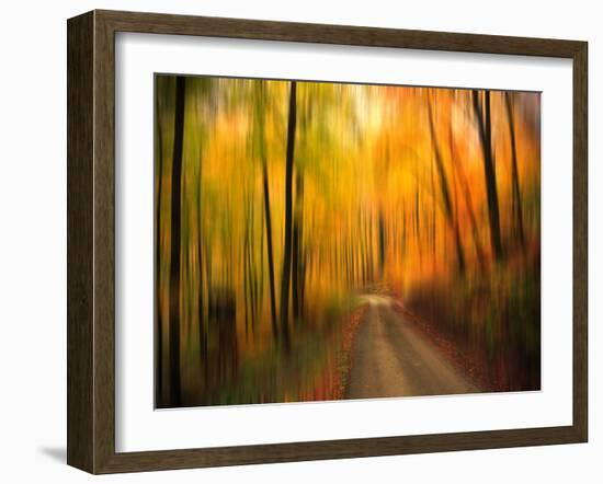 Welcome to My Fall-Philippe Sainte-Laudy-Framed Photographic Print