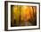 Welcome to My Fall-Philippe Sainte-Laudy-Framed Photographic Print