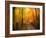 Welcome to My Fall-Philippe Sainte-Laudy-Framed Photographic Print