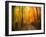 Welcome to My Fall-Philippe Sainte-Laudy-Framed Photographic Print