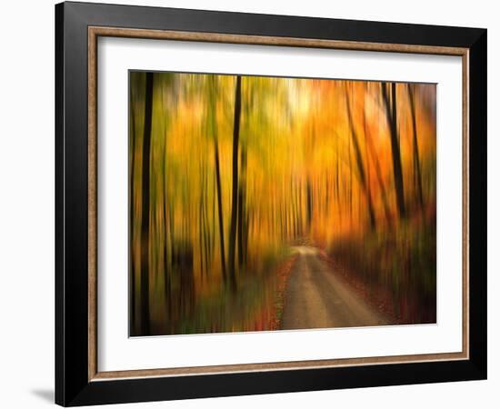 Welcome to My Fall-Philippe Sainte-Laudy-Framed Photographic Print