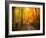 Welcome to My Fall-Philippe Sainte-Laudy-Framed Photographic Print