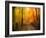 Welcome to My Fall-Philippe Sainte-Laudy-Framed Photographic Print