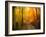 Welcome to My Fall-Philippe Sainte-Laudy-Framed Photographic Print