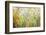 Welcome to My Garden-Jennifer Lommers-Framed Giclee Print