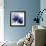 Welcome to Paradise XII Indigo-Janelle Penner-Framed Premium Giclee Print displayed on a wall