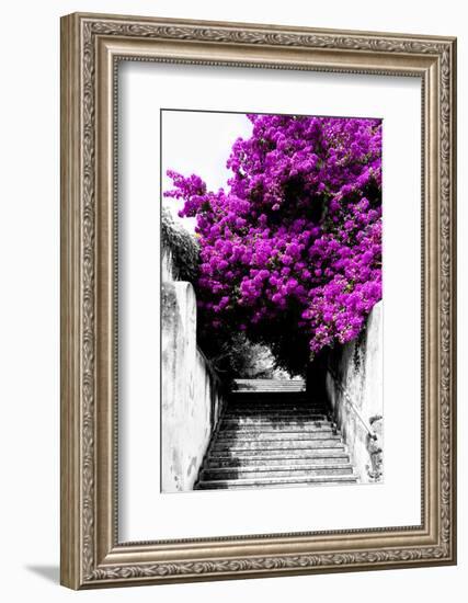 Welcome to Portugal Collection - Flowery Staircase II-Philippe Hugonnard-Framed Photographic Print