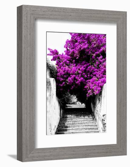 Welcome to Portugal Collection - Flowery Staircase II-Philippe Hugonnard-Framed Photographic Print