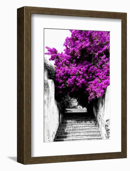 Welcome to Portugal Collection - Flowery Staircase II-Philippe Hugonnard-Framed Photographic Print