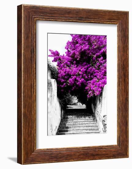 Welcome to Portugal Collection - Flowery Staircase II-Philippe Hugonnard-Framed Photographic Print