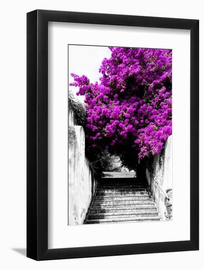 Welcome to Portugal Collection - Flowery Staircase II-Philippe Hugonnard-Framed Photographic Print