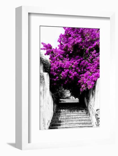 Welcome to Portugal Collection - Flowery Staircase II-Philippe Hugonnard-Framed Photographic Print