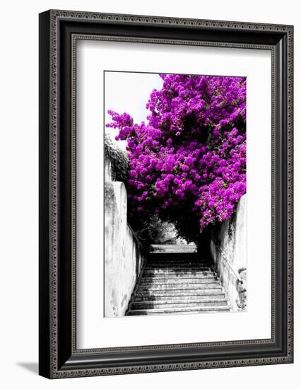 Welcome to Portugal Collection - Flowery Staircase II-Philippe Hugonnard-Framed Photographic Print