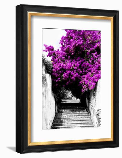 Welcome to Portugal Collection - Flowery Staircase II-Philippe Hugonnard-Framed Photographic Print