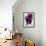 Welcome to Portugal Collection - Flowery Staircase II-Philippe Hugonnard-Framed Photographic Print displayed on a wall