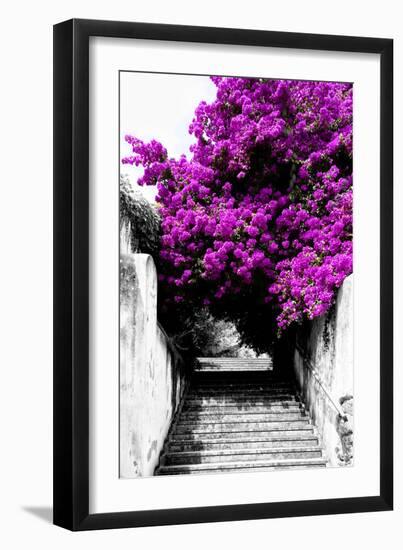 Welcome to Portugal Collection - Flowery Staircase II-Philippe Hugonnard-Framed Photographic Print