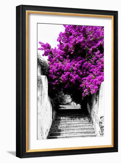 Welcome to Portugal Collection - Flowery Staircase II-Philippe Hugonnard-Framed Photographic Print