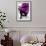 Welcome to Portugal Collection - Flowery Staircase II-Philippe Hugonnard-Framed Photographic Print displayed on a wall
