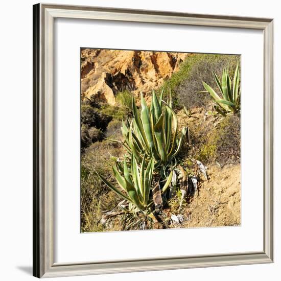 Welcome to Portugal Square Collection - Wild Agaves-Philippe Hugonnard-Framed Photographic Print