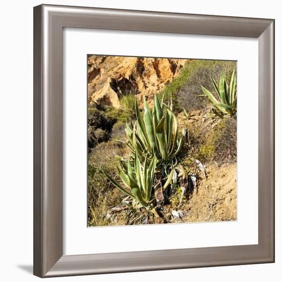 Welcome to Portugal Square Collection - Wild Agaves-Philippe Hugonnard-Framed Photographic Print