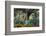 Welcome to The Jungle-Richard Wong-Framed Photographic Print