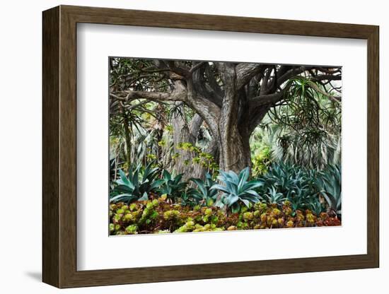 Welcome to The Jungle-Richard Wong-Framed Photographic Print
