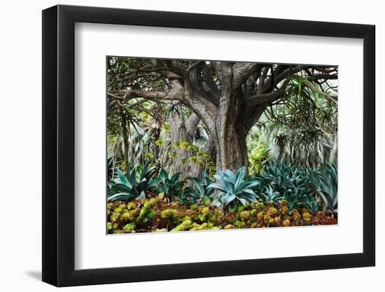 Welcome to The Jungle-Richard Wong-Framed Photographic Print