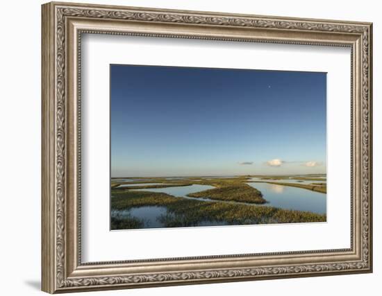 Welder Flats at sunrise, San Antonio Bay, Texas-Maresa Pryor-Framed Photographic Print