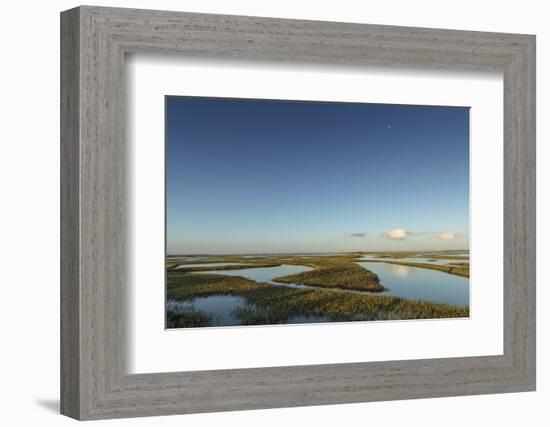 Welder Flats at sunrise, San Antonio Bay, Texas-Maresa Pryor-Framed Photographic Print