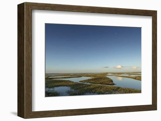 Welder Flats at sunrise, San Antonio Bay, Texas-Maresa Pryor-Framed Photographic Print