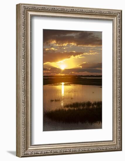 Welder Flats at sunrise, San Antonio Bay, Texas-Maresa Pryor-Framed Photographic Print