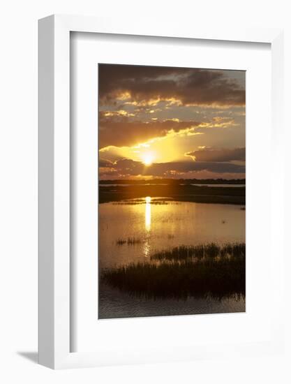 Welder Flats at sunrise, San Antonio Bay, Texas-Maresa Pryor-Framed Photographic Print