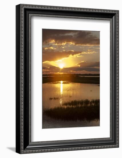 Welder Flats at sunrise, San Antonio Bay, Texas-Maresa Pryor-Framed Photographic Print