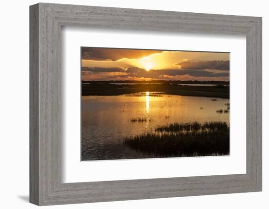 Welder Flats at sunrise, San Antonio Bay, Texas-Maresa Pryor-Framed Photographic Print