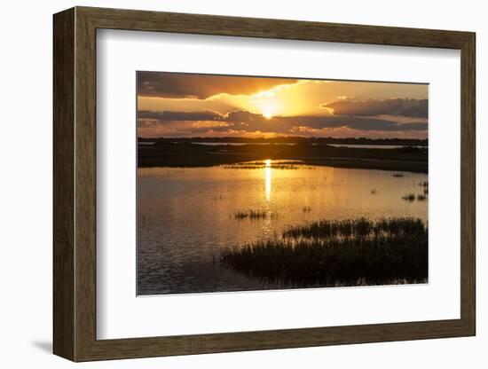 Welder Flats at sunrise, San Antonio Bay, Texas-Maresa Pryor-Framed Photographic Print