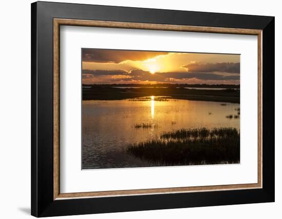 Welder Flats at sunrise, San Antonio Bay, Texas-Maresa Pryor-Framed Photographic Print