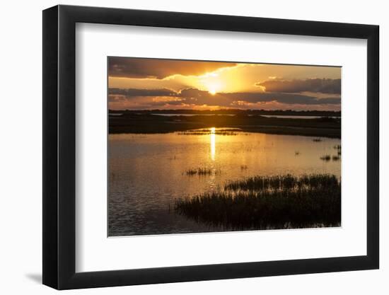 Welder Flats at sunrise, San Antonio Bay, Texas-Maresa Pryor-Framed Photographic Print