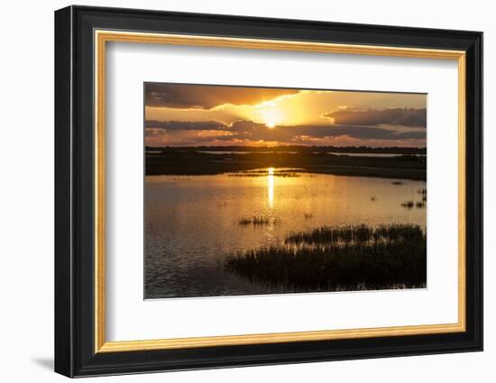 Welder Flats at sunrise, San Antonio Bay, Texas-Maresa Pryor-Framed Photographic Print