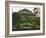 Well and Garden Courtyard, Buonconvento, Italy-Dennis Flaherty-Framed Photographic Print