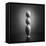 Well balanced diet 2-Victoria Ivanova-Framed Premier Image Canvas