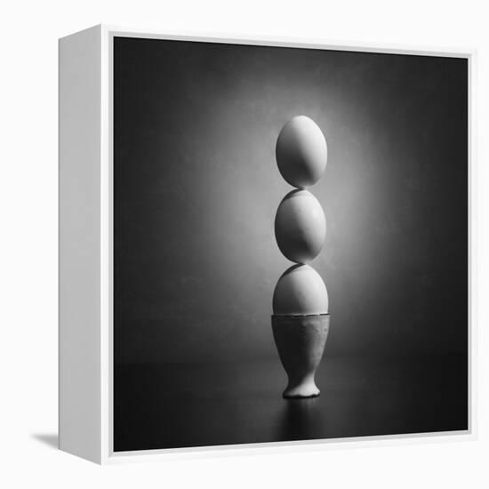 Well balanced diet 2-Victoria Ivanova-Framed Premier Image Canvas