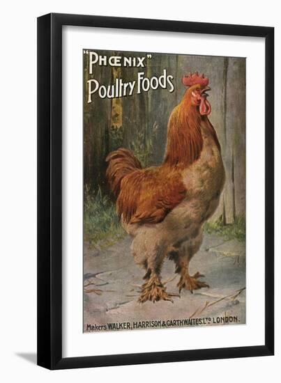 Well-Fed Cock-null-Framed Art Print