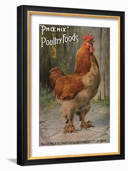 Well-Fed Cock-null-Framed Art Print