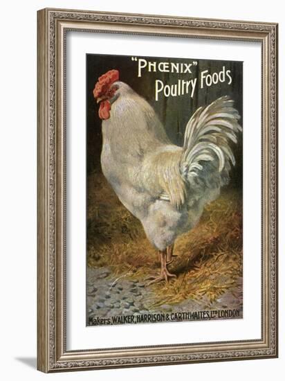 Well-Fed Cock-null-Framed Art Print