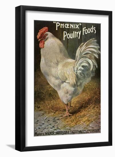 Well-Fed Cock-null-Framed Art Print