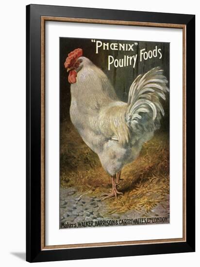 Well-Fed Cock-null-Framed Art Print