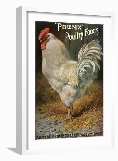 Well-Fed Cock-null-Framed Art Print